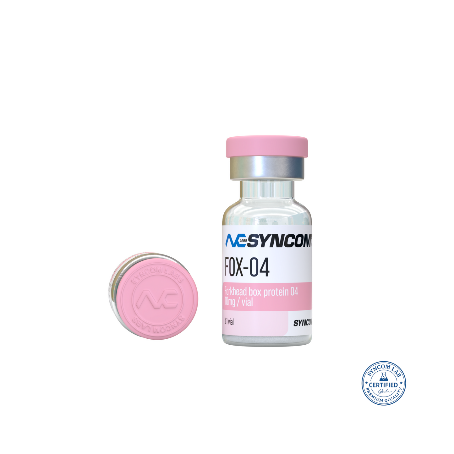 FOX-04 - Forkhead Box Protein