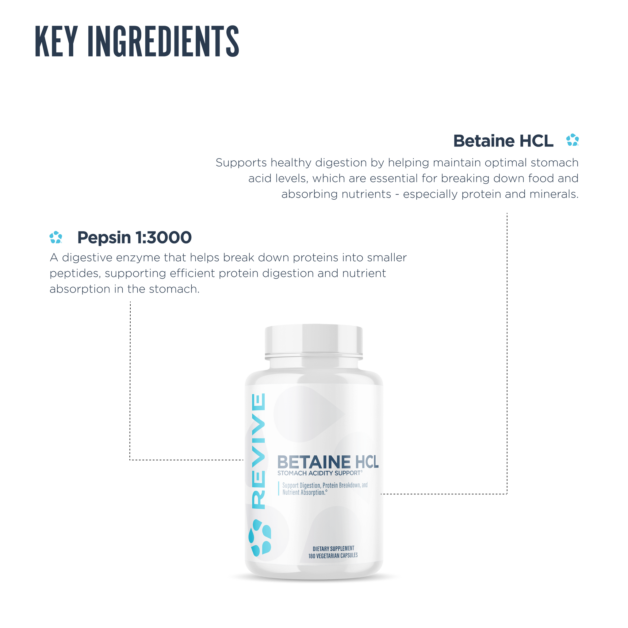 Betaine HCL